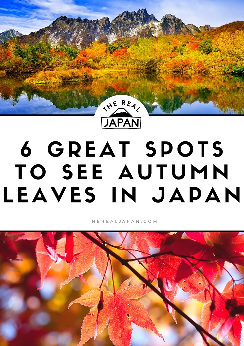 6GreatSpotsAutumnLeavesSM Great Spots to see Autumn Leaves in Japan The Real Japan Rob Dyer
