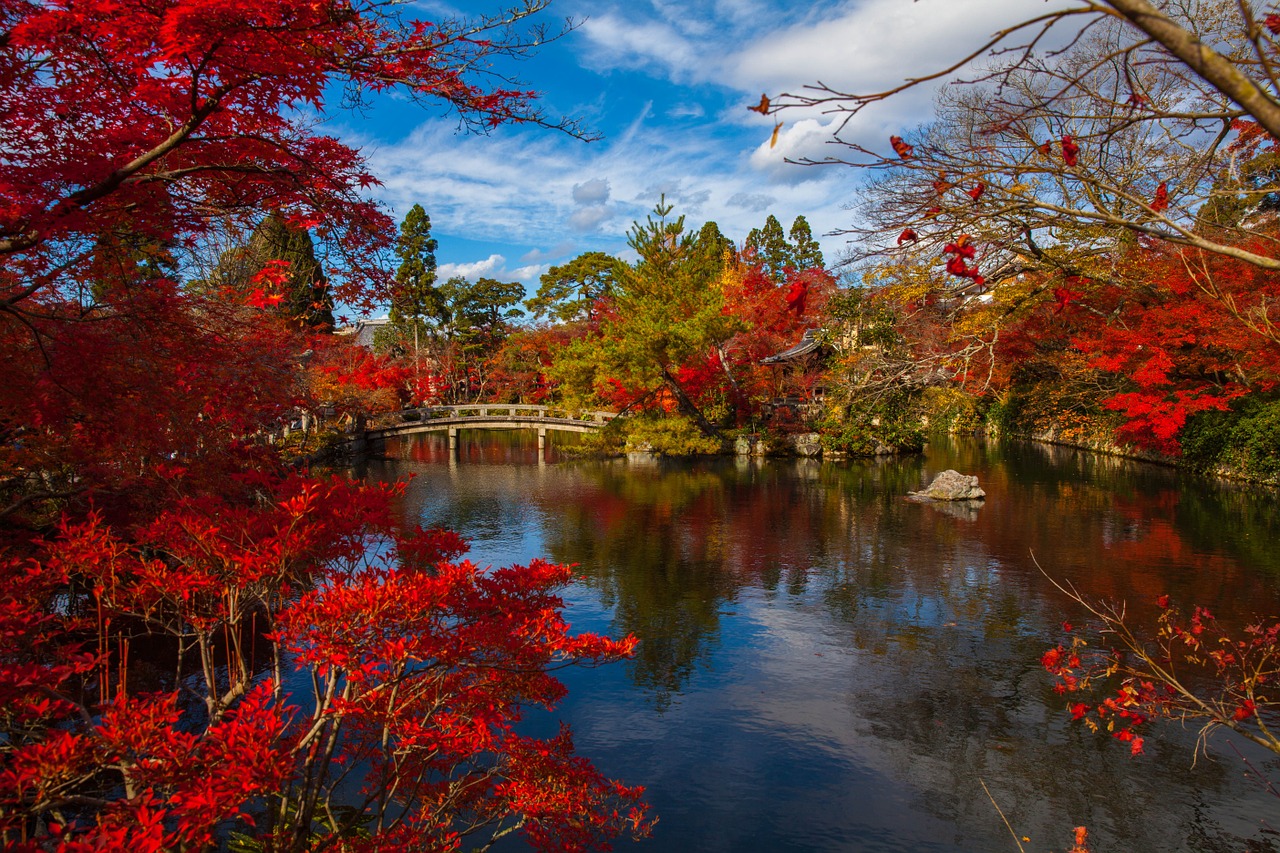 autumn_leaves_kyoto autum leaves Kyoto The Real Japan Rob Dyer
