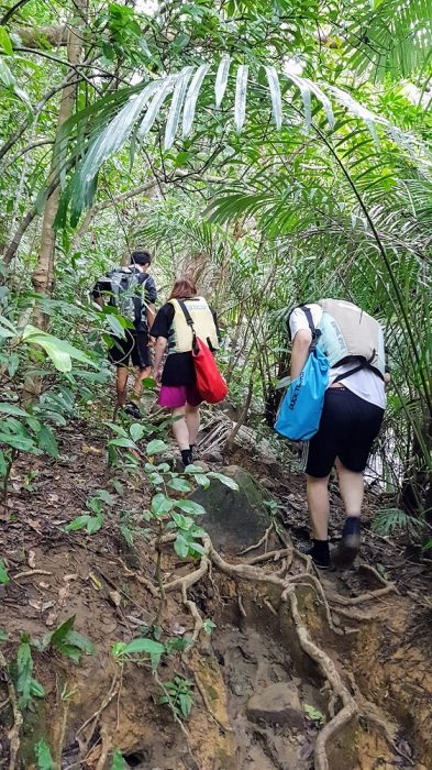 IriomoteKayakingTrekkingTour (13) kayaking and trekking on Iriomote The Real Japan Rob Dyer