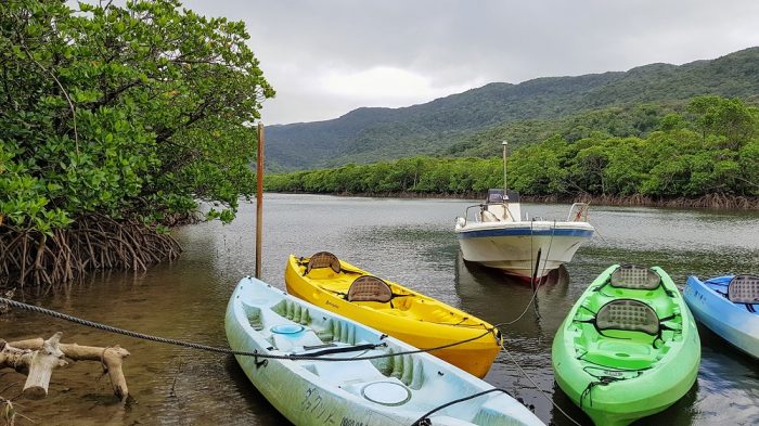 IriomoteKayakingTrekkingTour (6) kayaking and trekking on Iriomote The Real Japan Rob Dyer