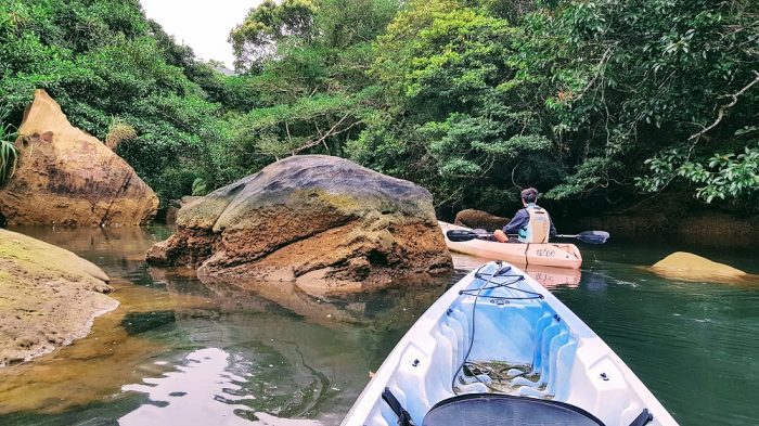 IriomoteKayakingTrekkingTour (9) kayaking and trekking on Iriomote The Real Japan Rob Dyer