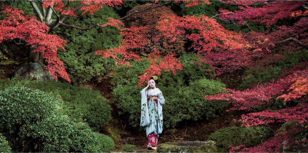 Secret Maikos 1 Secret Moments of Maikos Philippe Marinig The Real Japan Rob Dyer